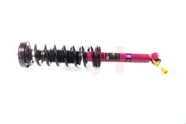 Suspension Strut (GH+331533C01)