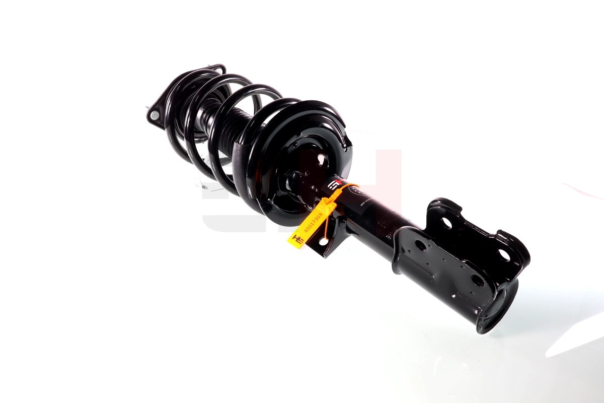 Suspension Strut (GH-353474C01)