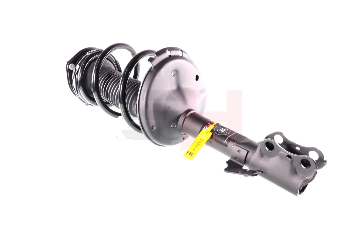 Suspension Strut (GH-356300C01)