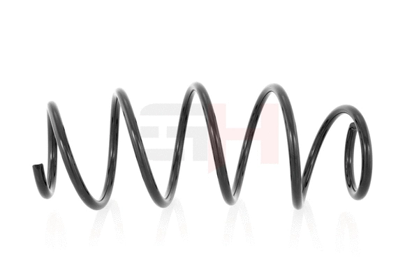 Suspension Spring (GH-202547)