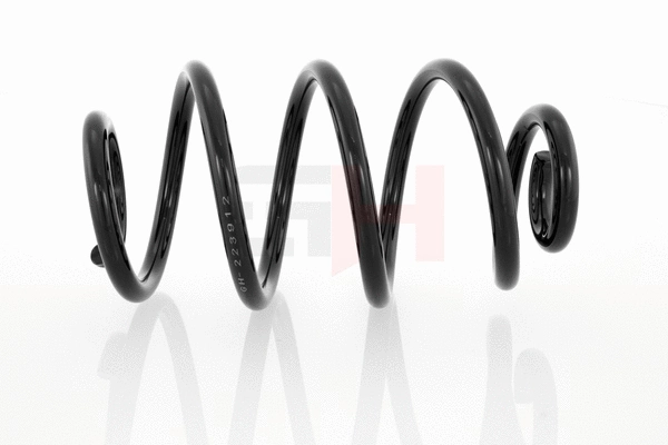 Suspension Spring (GH-223912)