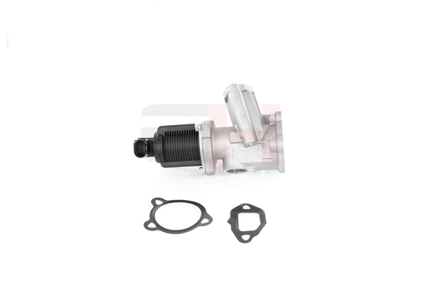 EGR Valve (GH-733641)