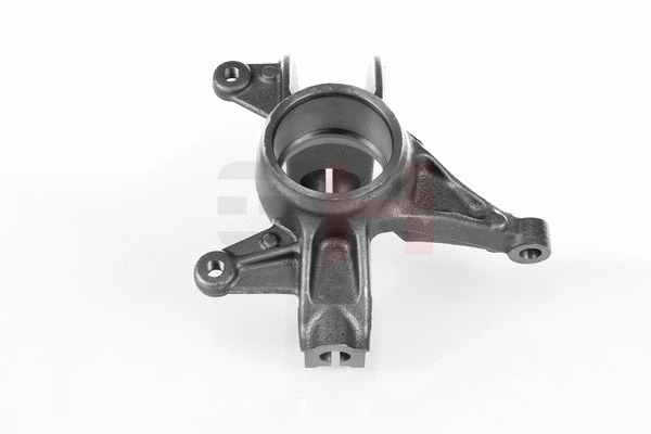 Steering Knuckle, wheel suspension (GH-293970V)