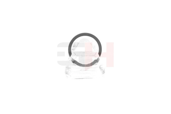 Sensor Ring, ABS (GH-493985)