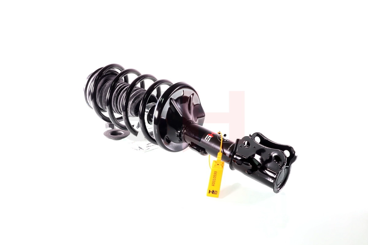 Suspension Strut (GH-355078C01)