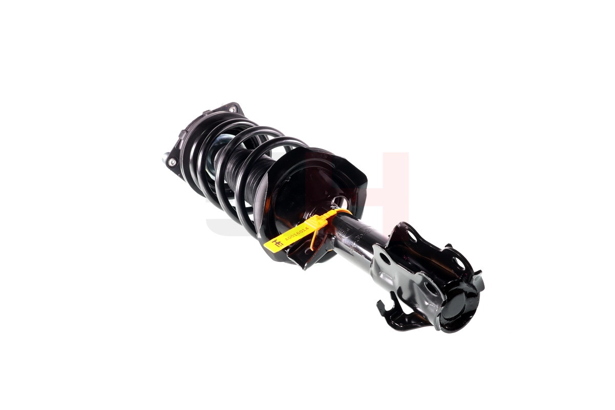 Suspension Strut (GH-352298C01)