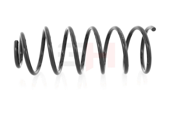 Suspension Spring (GH-204707)