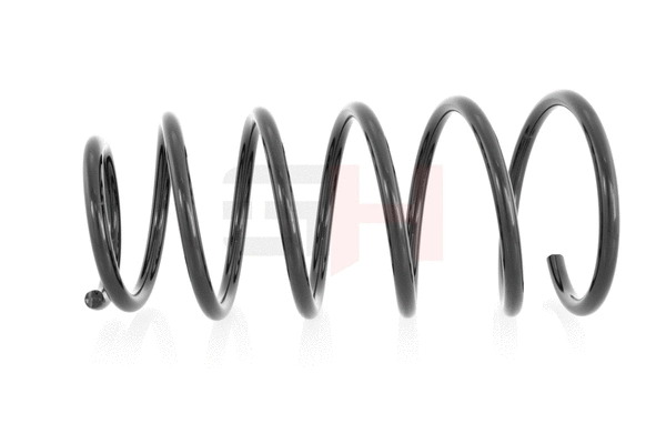 Suspension Spring (GH-224505)