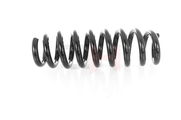 Suspension Spring (GH-221591)