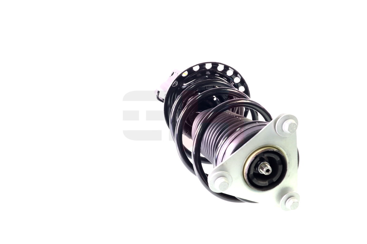 Suspension Strut