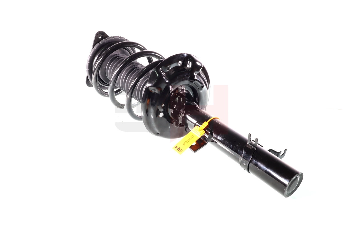 Suspension Strut (GH-352293C01)