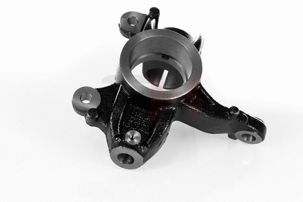 Steering Knuckle, wheel suspension (GH-292565V)