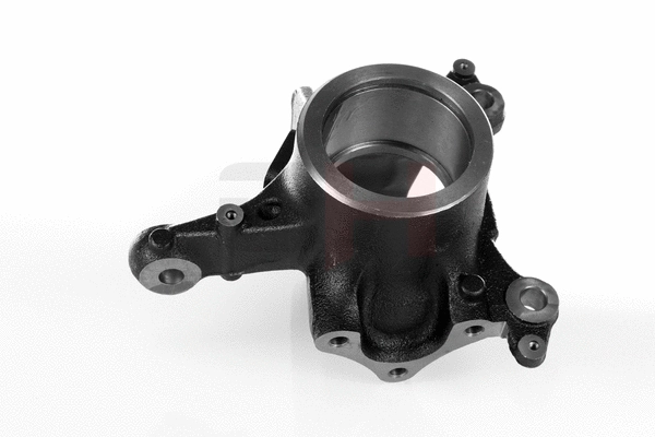 Steering Knuckle, wheel suspension (GH-291960H)