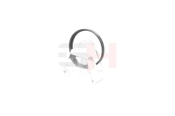Sensor Ring, ABS