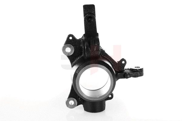 Steering Knuckle, wheel suspension (GH-293964V)