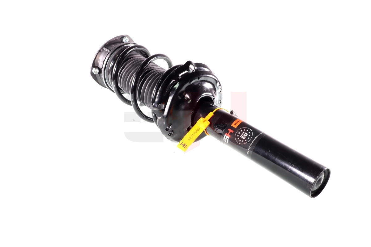 Suspension Strut (GH-359966C02)