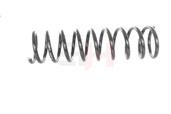 Suspension Spring (GH-221516)