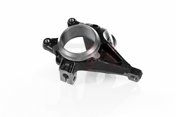 Steering Knuckle, wheel suspension (GH-291935V)