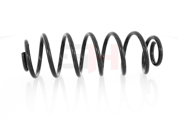Suspension Spring (GH-224709)