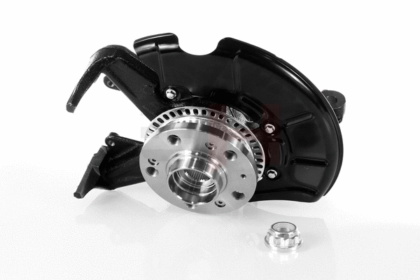 Steering Knuckle, wheel suspension (GH-284710H)