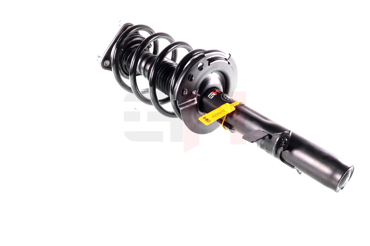 Suspension Strut (GH-352542C03)