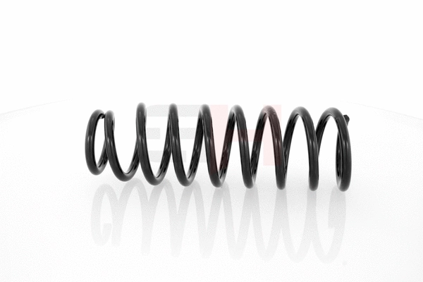 Suspension Spring (GH-225201)