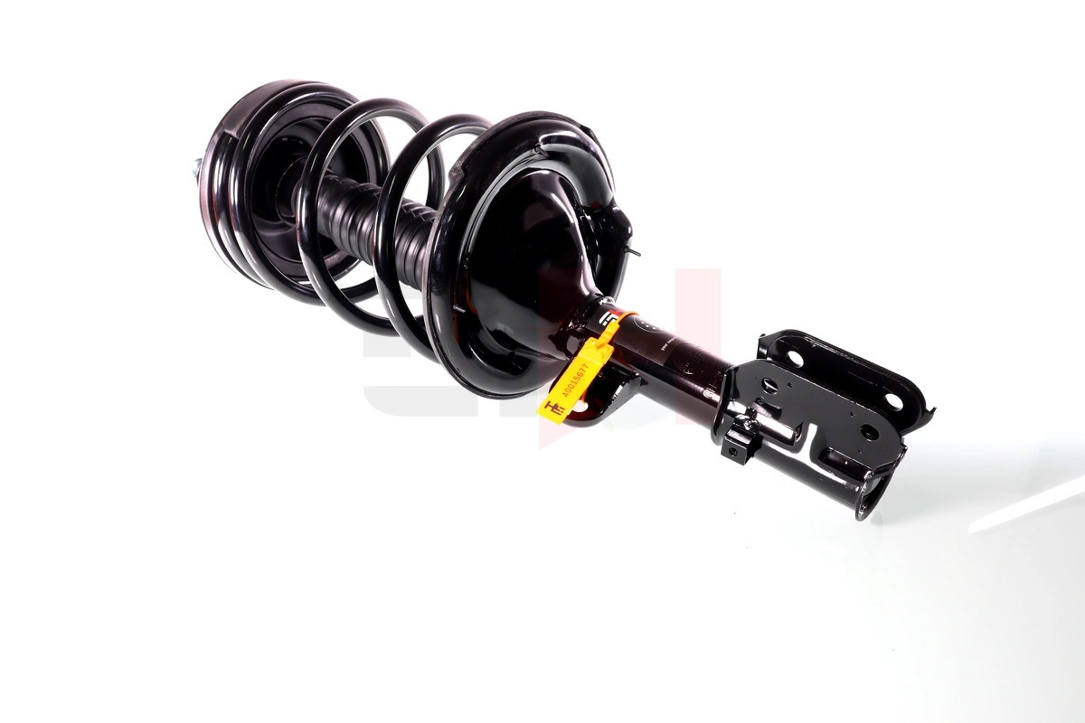 Suspension Strut (GH-353531C02)