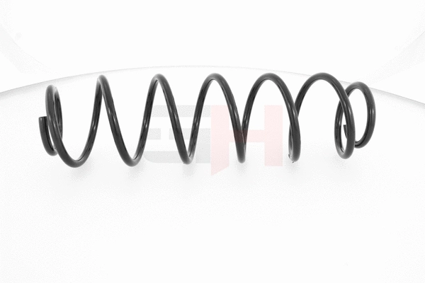 Suspension Spring (GH-223905)