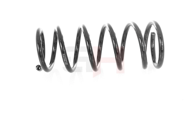 Suspension Spring (GH-222201)