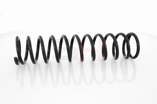 Suspension Spring (GH-224708)