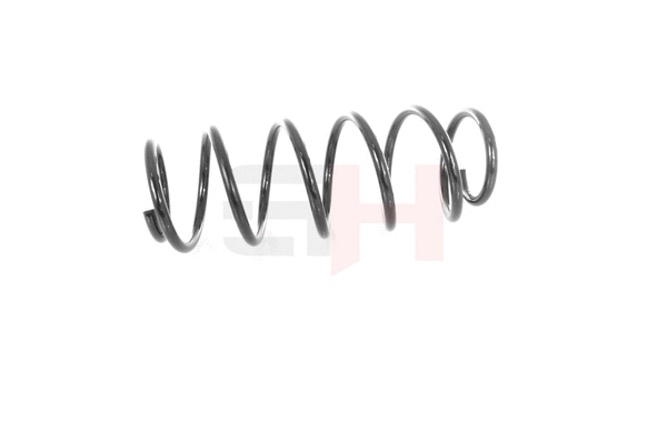 Suspension Spring (GH-204705)