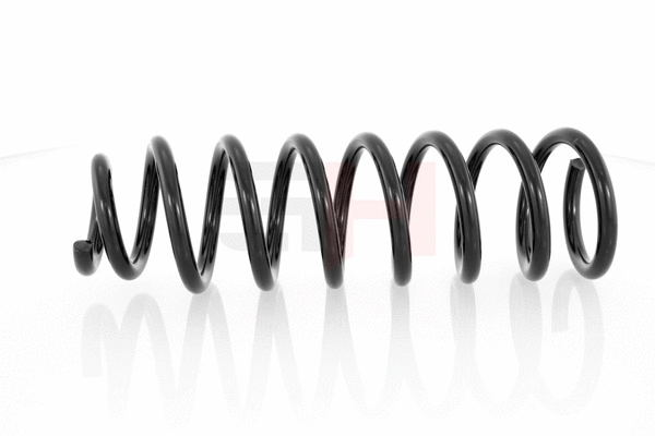 Suspension Spring (GH-224786)