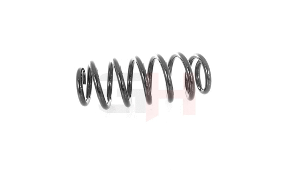 Suspension Spring (GH-204722)