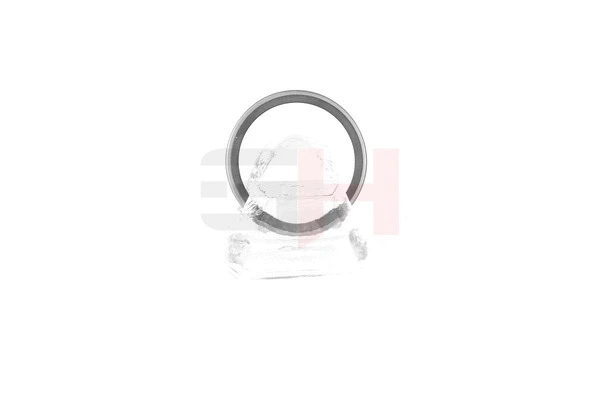 Sensor Ring, ABS (GH-493910)
