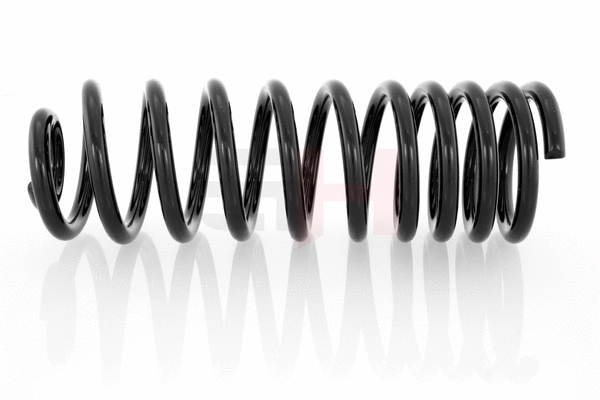 Suspension Spring (GH-224704)