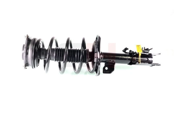 Suspension Strut (GH-352294C06)
