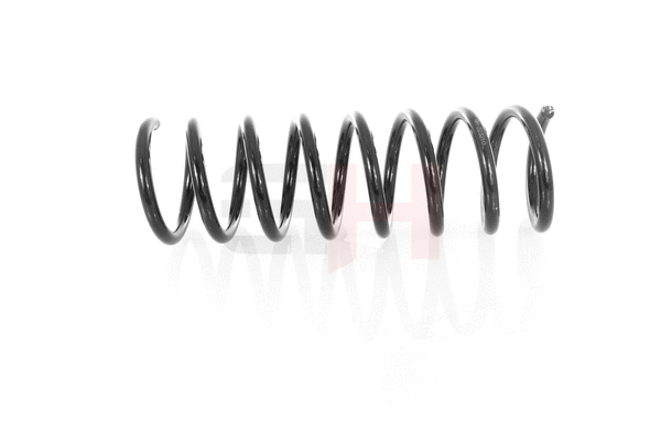 Suspension Spring (GH-223210)