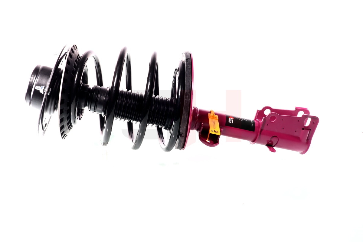 Suspension Strut (GH+359321C01)