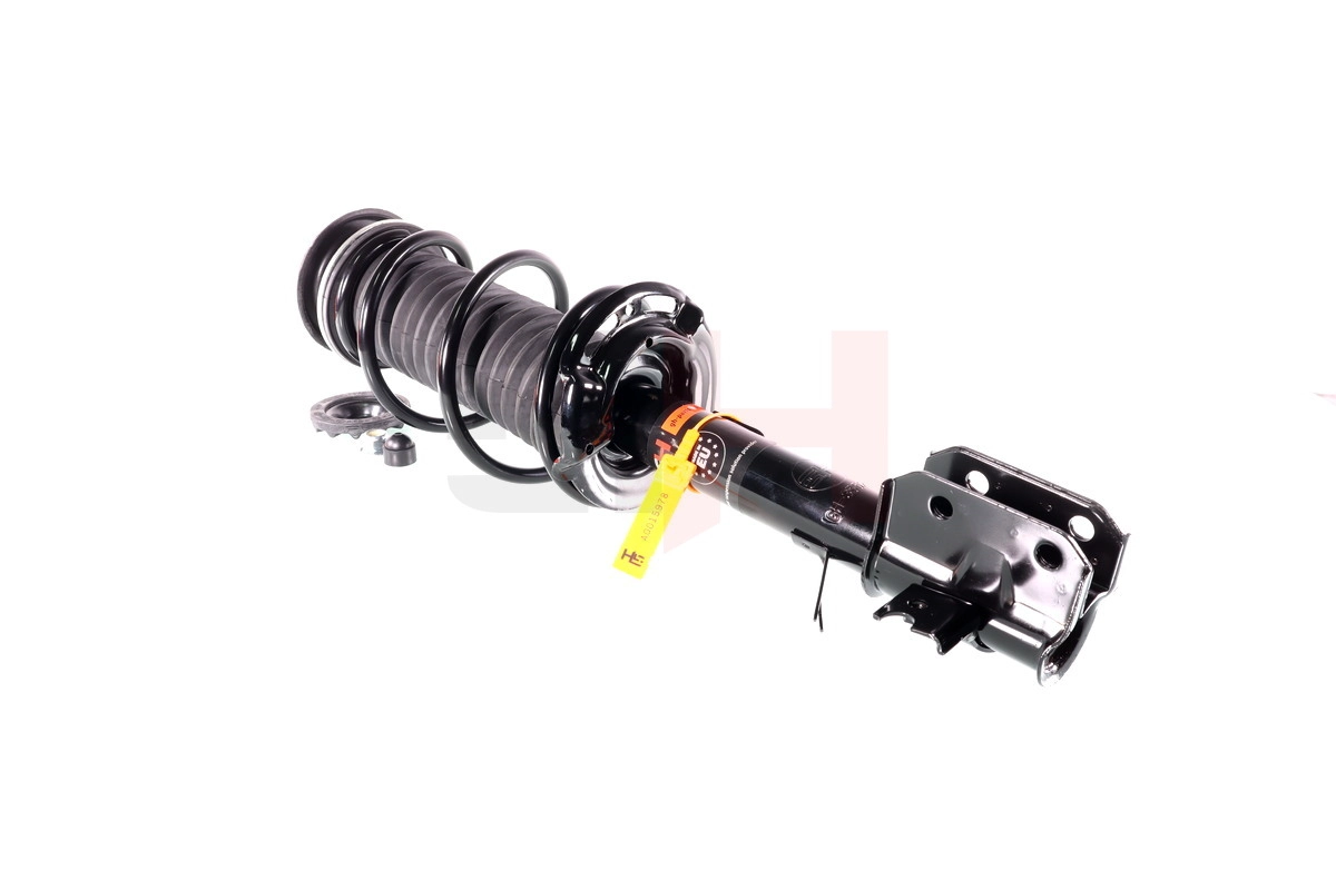 Suspension Strut (GH-355253C01)