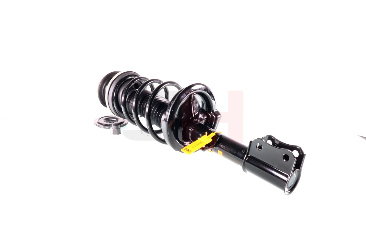 Suspension Strut (GH-355252C04)