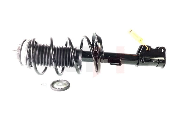 Suspension Strut (GH-352389C01)