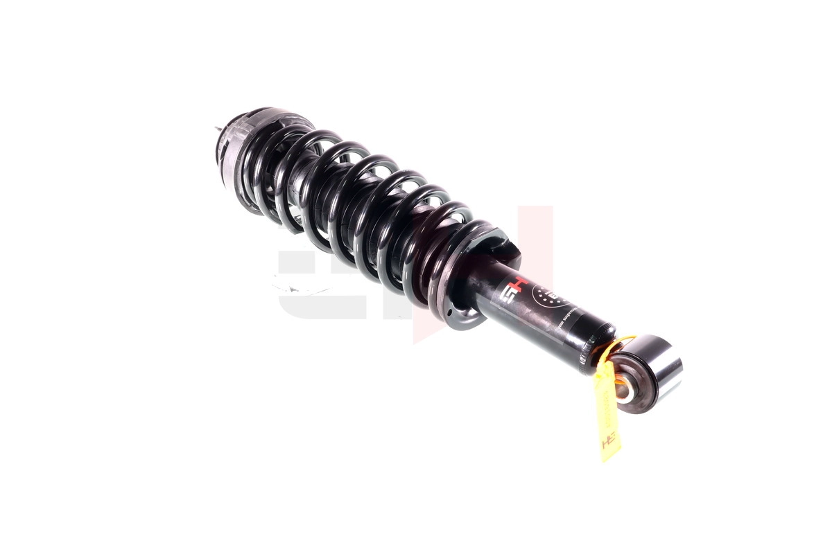 Suspension Strut (GH-331060C01)