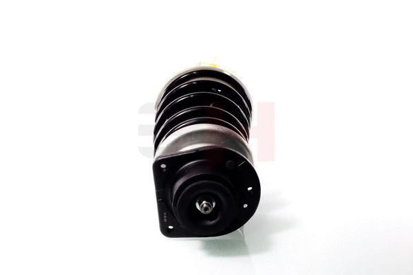 Suspension Strut