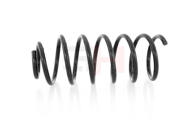Suspension Spring (GH-204303)