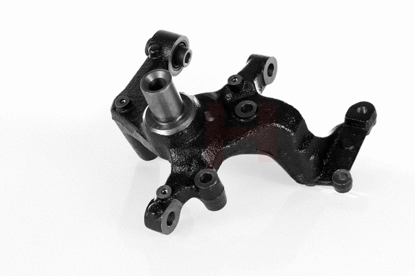 Steering Knuckle, wheel suspension (GH-299953V)