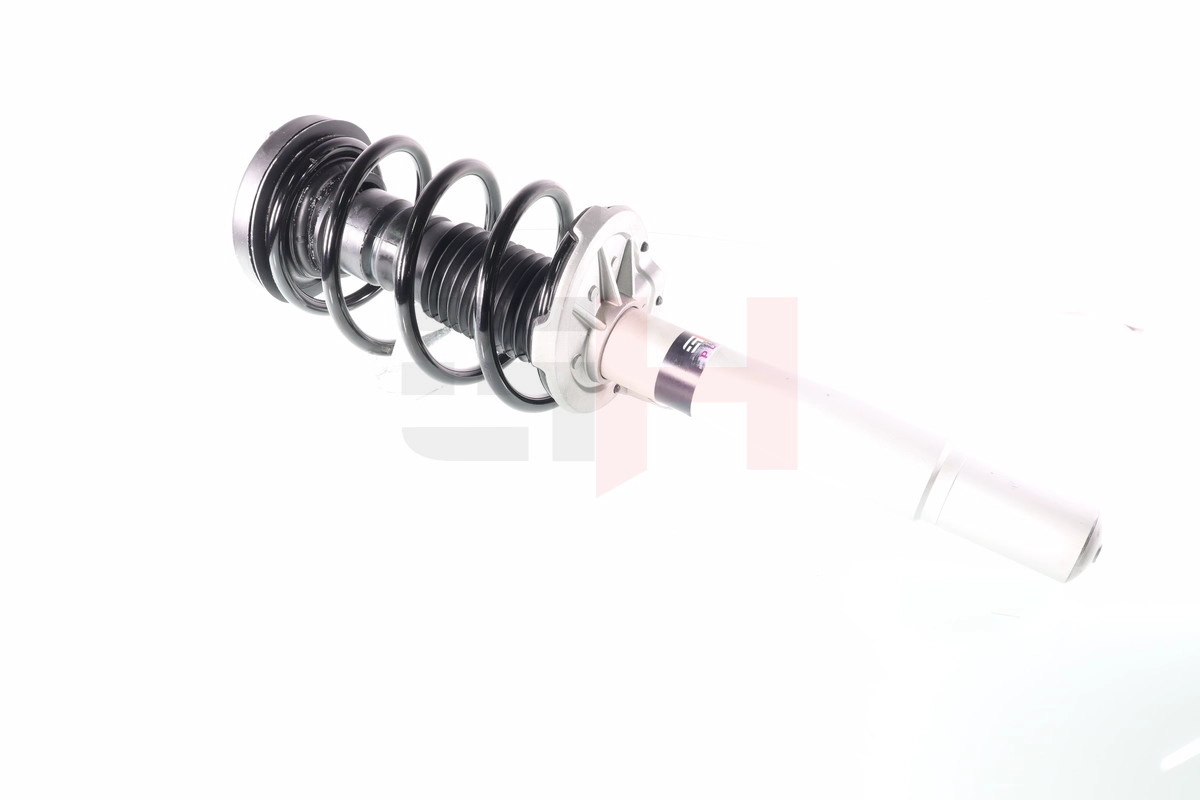 Suspension Strut (GH+351572C01)