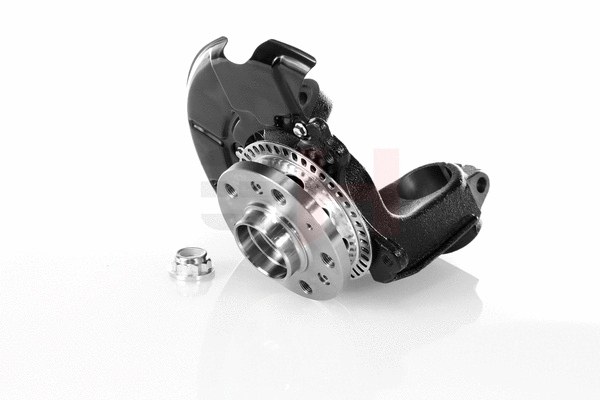 Steering Knuckle, wheel suspension (GH-284709V)