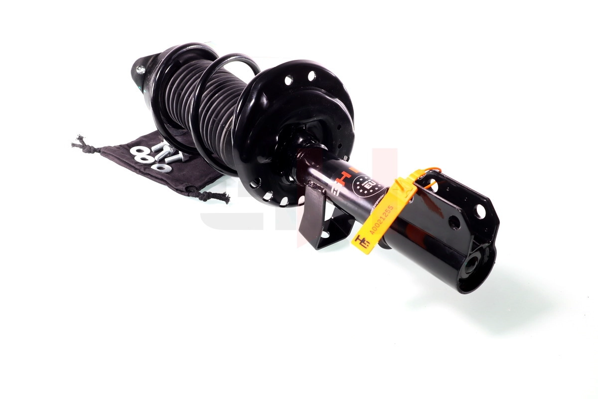 Suspension Strut (GH-353947C03)