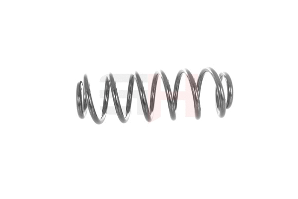 Suspension Spring (GH-223705)