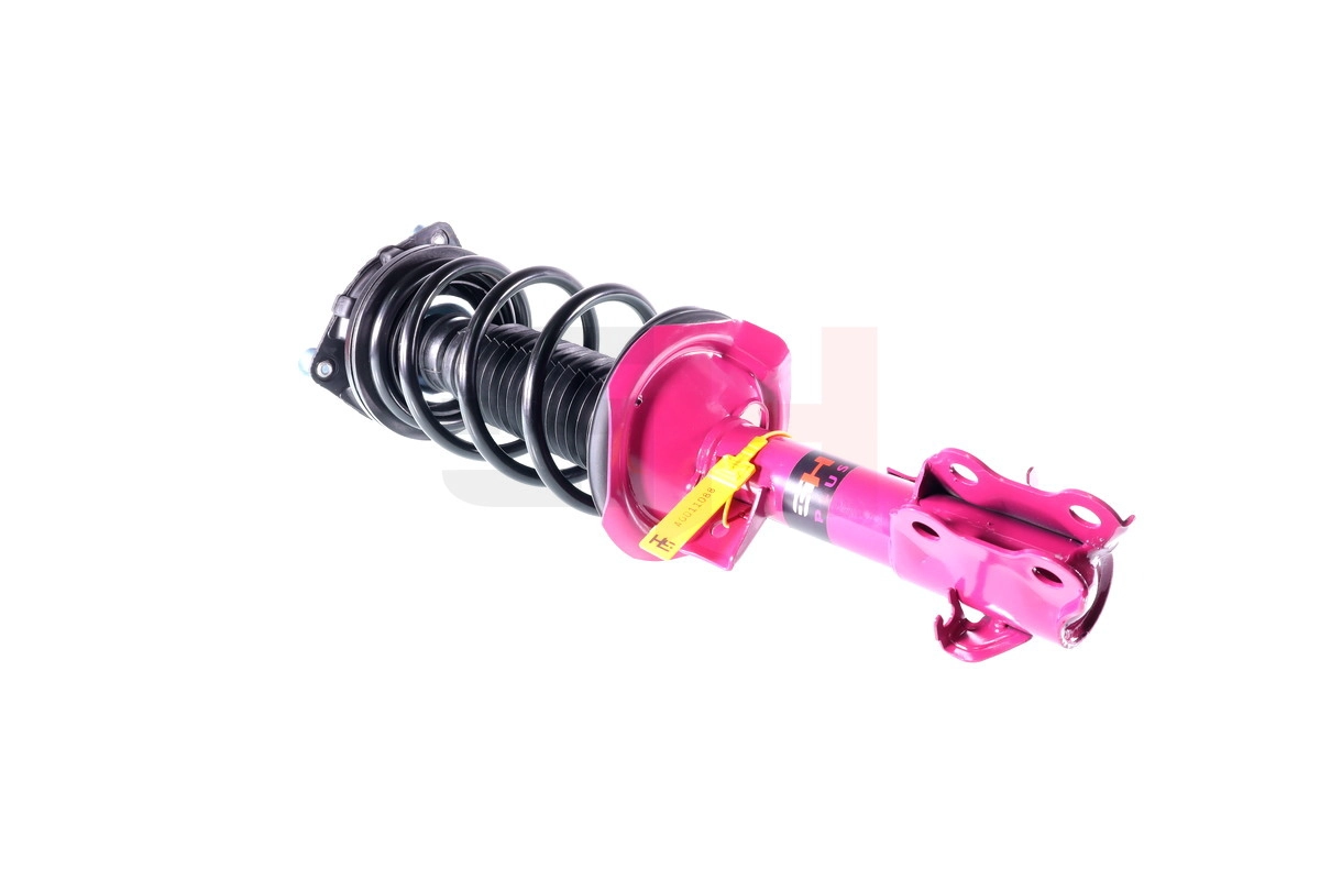 Suspension Strut (GH+352298C02)